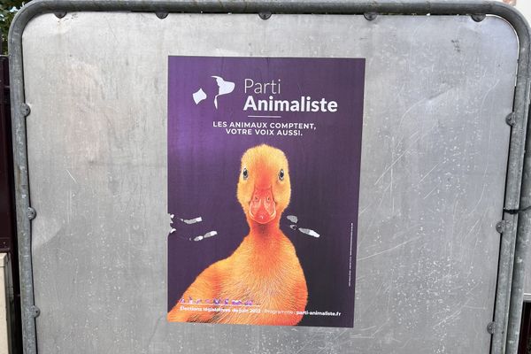 Le Parti animaliste a opté pour une même affiche pour l'ensemble de ses candidats aux élections législatives.