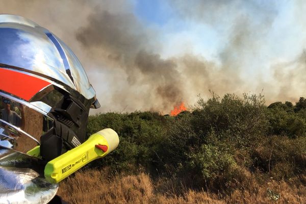 Les sapeurs-pompiers sont intervenus pour un feu de forêt. Photo d'illustration.