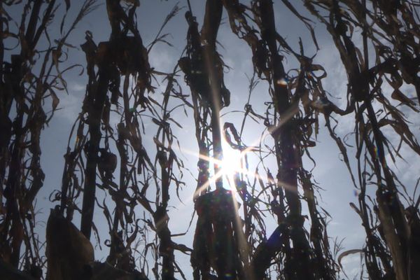 Après une nouvelle année compliquée, les agriculteurs relancent des actions pour demander au gouvernement d'aller plus vite sur ses promesses de février 2024.