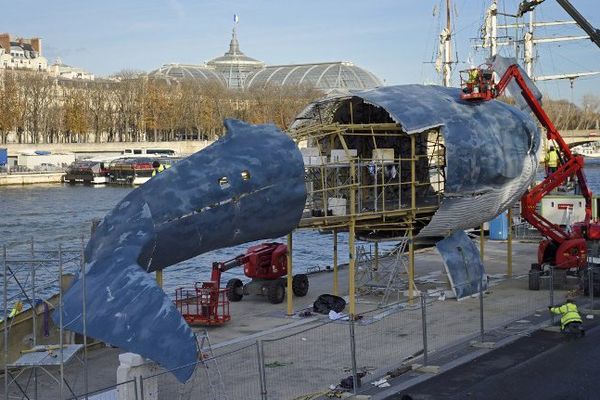 Photographiée le 28 novembre 2015, la baleine bleue prend forme sur les quais de Seine parisiens. 