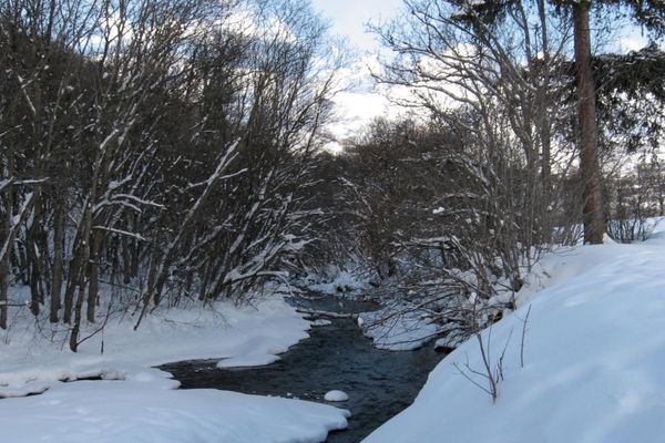 Un ruisseau sur la commune de Saint-Sorlin-d'Arves.