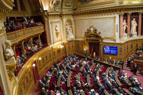 Le Sénat est renouvelé par moitié tous les trois ans.