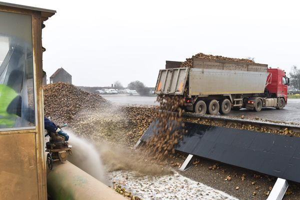 Les maires et les riverains sont souvent agacés lorsque des camions transportant des betteraves traversent leur village. Ils causent des nuisances sonores et rendent les routes glissantes.