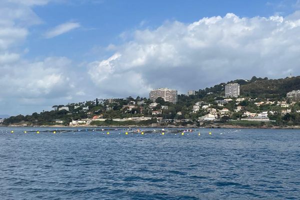 Les deux sites qui existent au large de Cannes et de Théoule-sur-Mer seraient regroupés à Golfe-Juan en un seul élevage de 24.000m2.