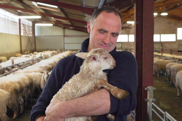 Les congés : depuis longtemps un tabou chez les agriculteurs