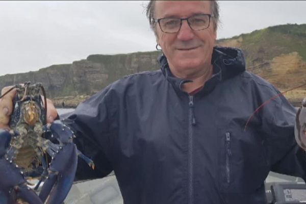 Michel le homard bleu à gauche et Michel le pêcheur lors de la capture du crustacé à Granville (Manche). 