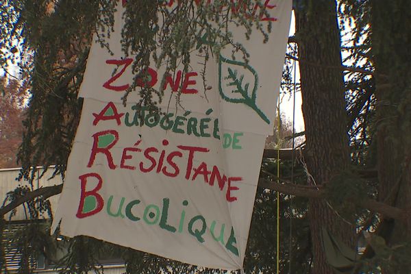 Des citoyens occupent les cèdres qui jouxtent l'hôpital de Thonon-les-Bains depuis l'été dernier pour empêcher leur abattage.