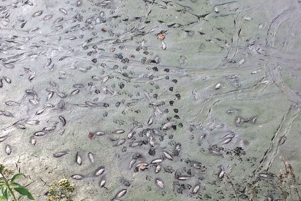 à l'image de ce point d'eau complètement sec, ce mois d'octobre a été très chaud et peu pluvieux