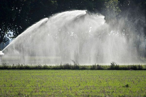 Alerte sécheresse dans les Bouches-du Rhône