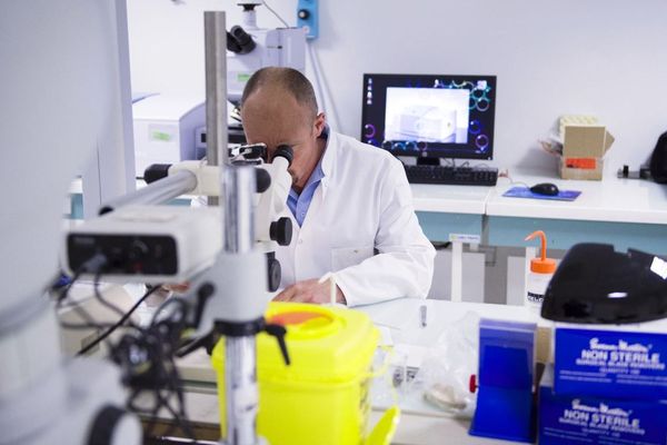 Un scientifique de la Brigade de recherche Scientifique de la Gendarmeie Nationale à Pontoise en 2015.

