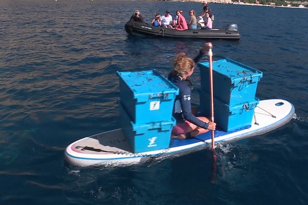 Pour sauver les posidonies, des scientifiques redoublent d’efforts dans la baie de Beaulieu-sur-Mer (Alpes-Maritimes).