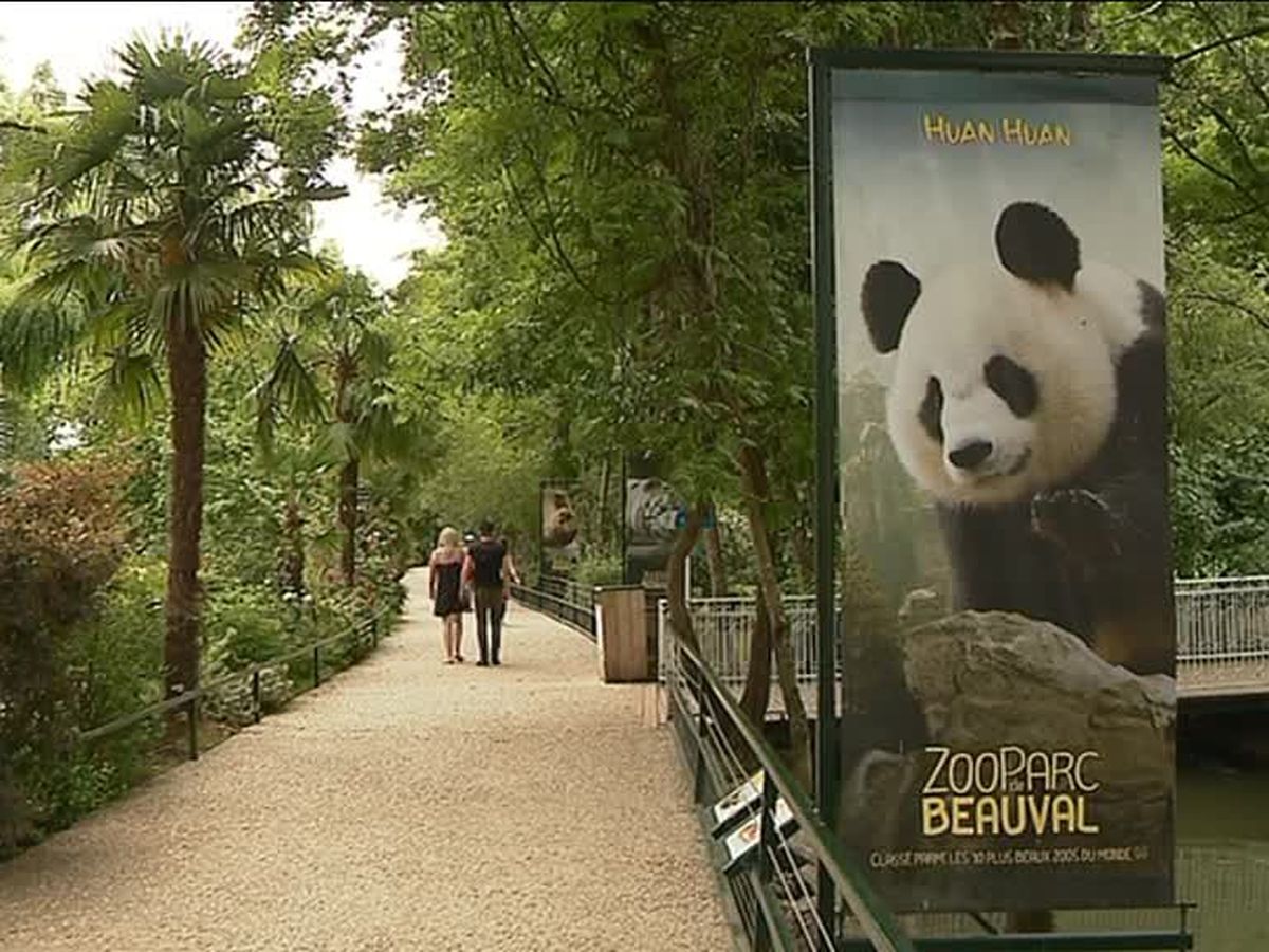 zooparc de beauval