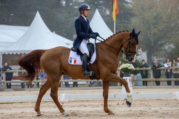 Thibault Fournier se classe 5e du concours complet, à l'issue de l'épreuve de dressage, lors du 4 Etoiles de Pau 2018.