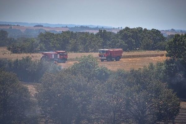 Un feu de chaume a détruit 10 hectares sur la commune de Mirandol (81)