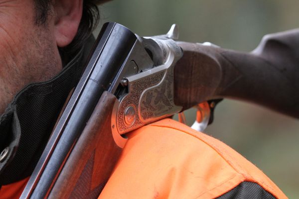 Un accident de chasse a eu lieu ce dimanche 29 septembre près de Clermont-Ferrand. (photo d'illustration)