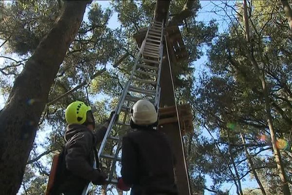 Des dizaines de bénévoles ont répondu à l'appel des salariés de l'accrobranche de Villeneuve les Maguelone pour nettoyer le parc fortement endommagé après d'importantes chutes de neige. France 3 LR