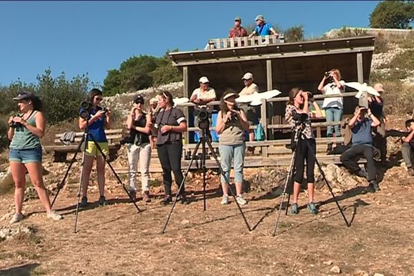 Une trentaine d’ornithologues se sont retrouvé le dimanche 8 septembre à l'observatoire ornithologique du Fort de la Revère pour observer les oiseaux migrateurs.