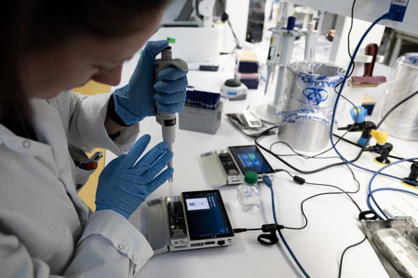 Le Centre national de référence (CNR) de l'Institut Pasteur a confirmé la présence de la bactérie du botulisme dans le pesto à l'ail des ours de la marque "O Ptits Oignons" consommé par cinq personnes en Indre-et-Loire.