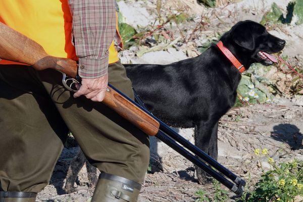 Un chasseur avec son chien - Photo d'illustration