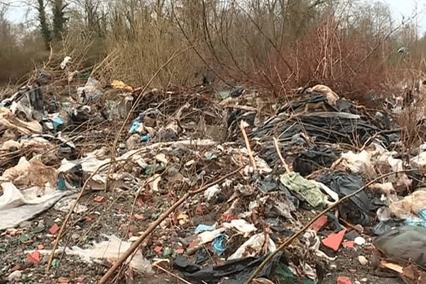 Les déchets envahissent les rives du gave de Pau