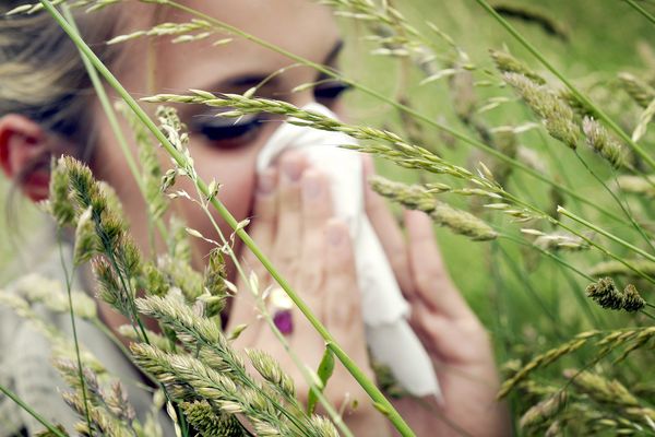 Les allergies aux pollens sont de retour 