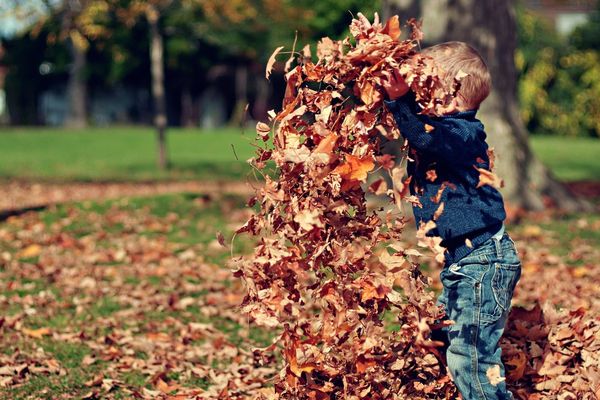 Un temps d'automne gros avec peu d'éclaircies selon Météo France.