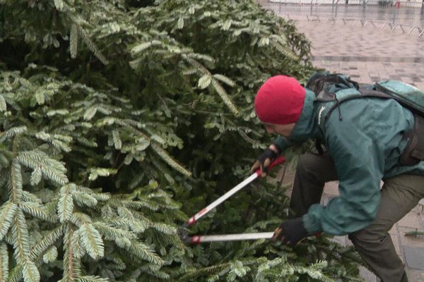 Grégory Haye, de l'entreprise Aromacomtois, a valorisé le sapin de Noël de Besançon