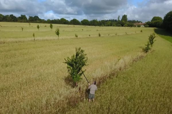 "Paysan Paysage", votre documentaire du lundi