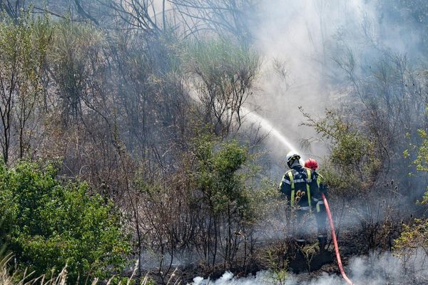 illustration feu de forêt dans le Gard - 27 juillet 2017