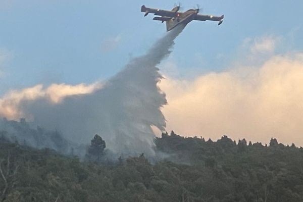 Incendie sur la commune de Bisinchi, hameau de Vignale.