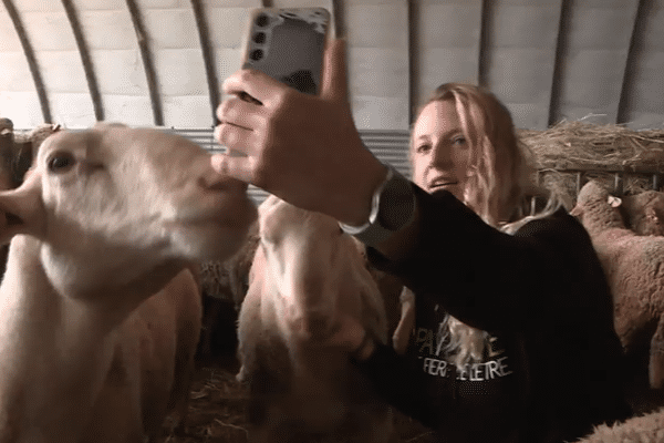 Dans les Hautes-Alpes une jeune agri-influenceuse met en avant son métier.