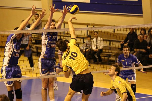 Volleyball , Ligue B , match Avignon - Saint Brieuc