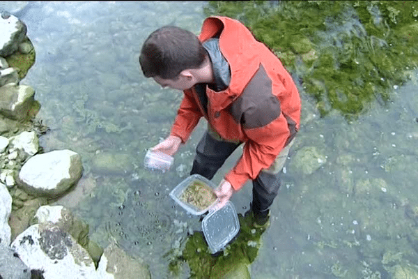 Prélèvement de sédiment dans la Bienne