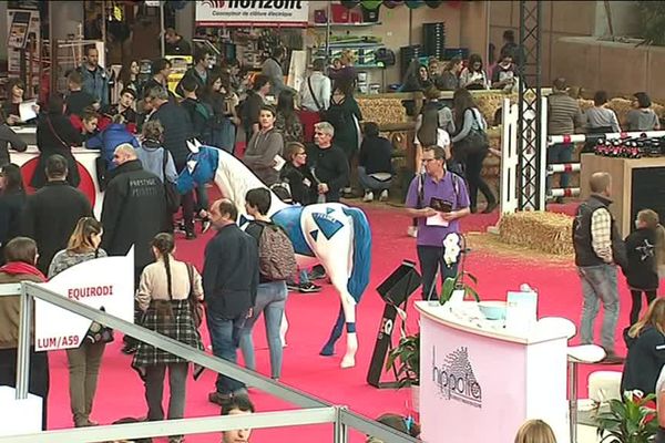 Equita Lyon, 5 jours consacrés au cheval à Lyon