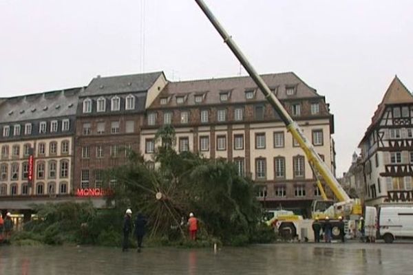 Strasbourg : le temps du découpage du sapin