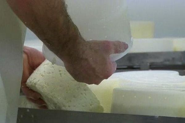 Dans un fromagerie des Monts du Forez, lors de la fabrication de la fourme de Montbrison- Le 03/10/2014