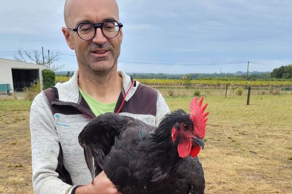 Cédric a transformé ses terres en un paradis bio, entre arbres et poules noires de Challans