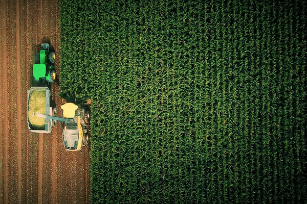 En Nouvelle-Aquitaine, la surface agricole utile représente 4,2 millions d'hectares, soit 15 % de la SAU nationale. La région est la première région agricole de France et d'Europe.