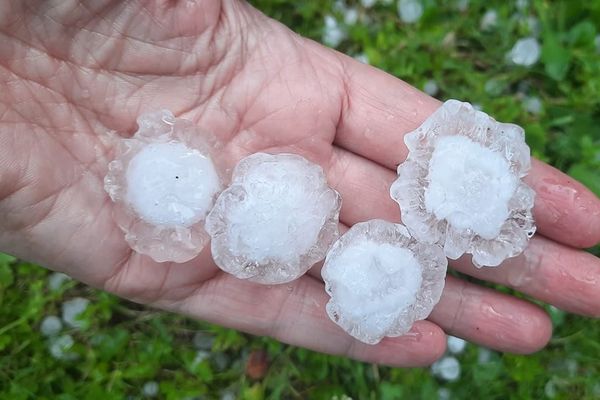 Des grêlons de plusieurs centimètres de diamètre ont été mesurés jeudi 30 juin dans le Haut-Rhin.