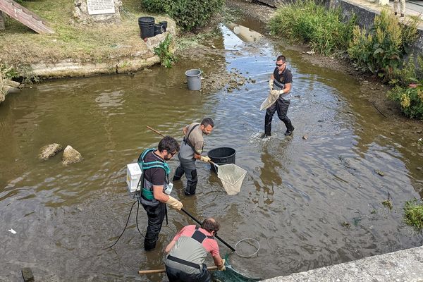 Une pêche de sauvegarde à Rue dans la Somme.