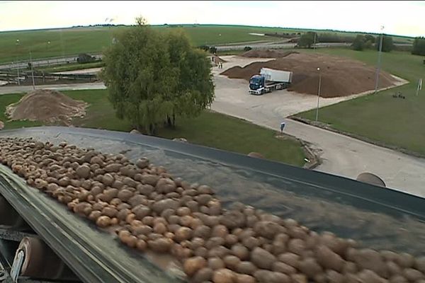 La féculerie d'Haussimont vise à terme la transformation de 500 000 tonnes de pommes de terre chaque année.