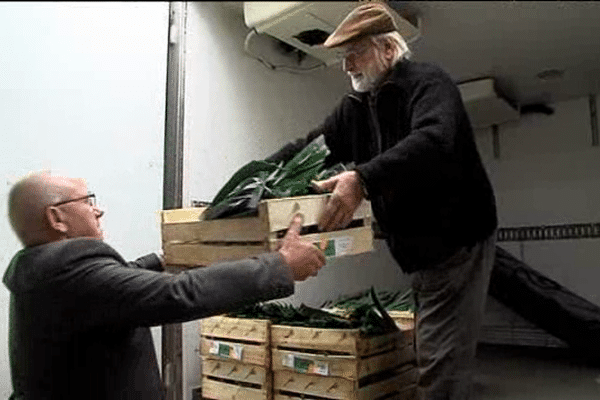 Des agriculteurs manchois ont fait don de plus d'une tonnes de légumes aux Restos du cœur et à la Banque alimentaire ce mercredi à Saint-Lô