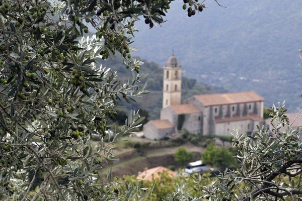 ILLUSTRATION - Paysage rural en Corse.