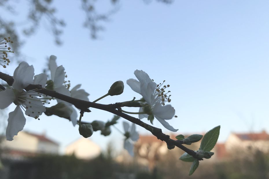 Wetter in Pays de la Loire: Immer noch sonnig, aber kühl