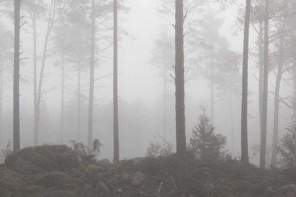 Ciel localement très brumeux ce vendredi matin