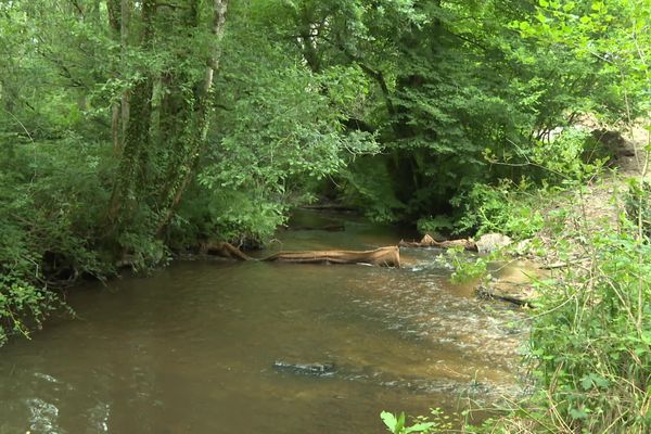 La Tardoire va retrouver sa pleine nature sur 30 kilomètres