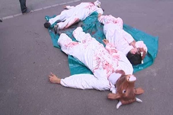 Une manifestation du NARG contre ce projet d'abattoir halal a déjà eu lieu en mai 2012.