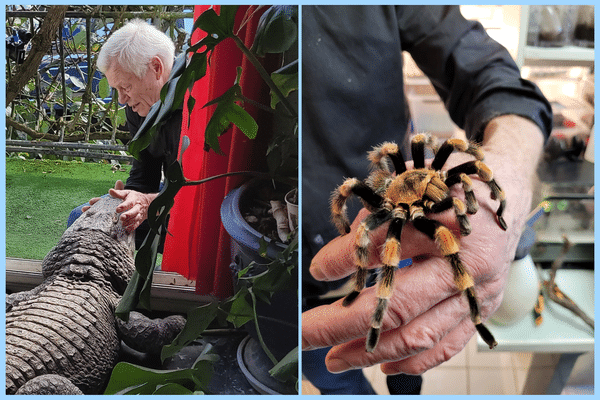 Alligators, mygales, serpents,... Philippe est un amoureux des animaux, de tous les animaux !