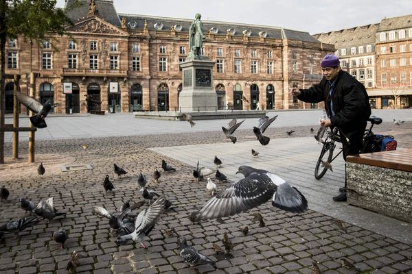 La place Kléber, peuplée de pigeons, immortalisée par Elyxandro Cegarra le 20 mars 2020, trois jours après l'entrée en vigueur du confinement : "à cette époque normalement, la ville est remplie de touristes".