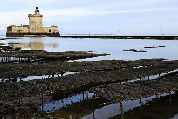 Des parcs à huîtres à Marennes d'Oléron (17)